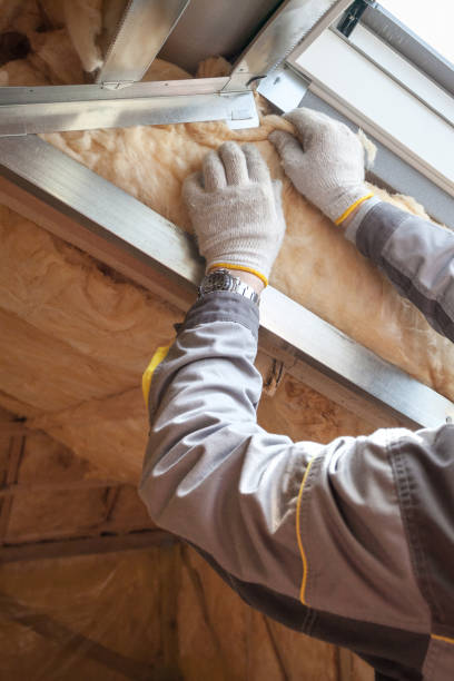 Best Insulation Repair Services  in Phoenix, NY