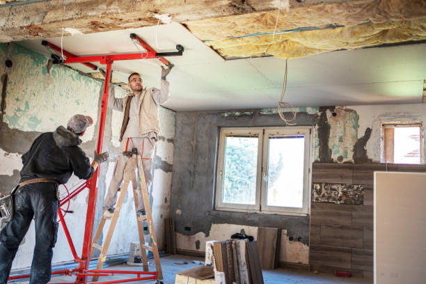 Best Insulation Contractor Near Me  in Phoenix, NY