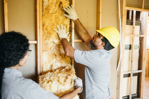 Best Cellulose Insulation  in Phoenix, NY